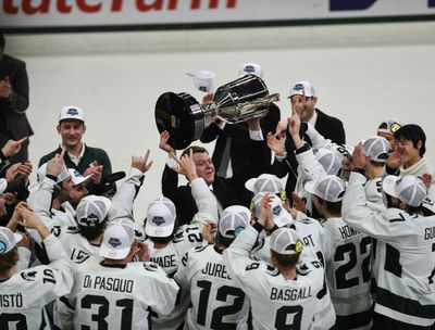 Michigan State hockey roster released