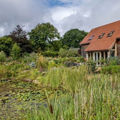 How to fix a waterlogged lawn – an expert guide to help your grass recover after heavy rain