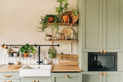 Kitchen Plants — 7 Blossoming Varieties to Bring into Your Cooking Space For Color and Freshness