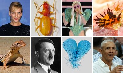 What links Lady Gaga, Obama and Hitler? How famous people can give new species a bad name