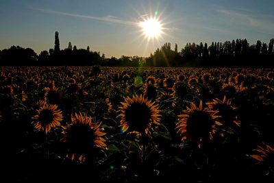 Spain heats up under 1st heatwave of the year as Southern Europe swelters