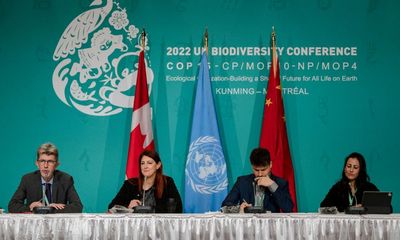 Colombia gives assurances over UN biodiversity summit after rebels’ threat