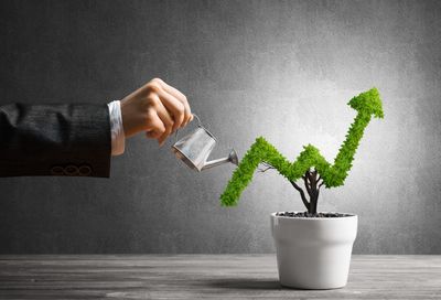 3 Sustainable Investing ETFs for Eco-Conscious Investors