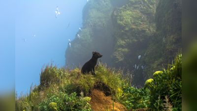 These stunning images from the 11th annual Academy of Science's BigPicture are seriously worth a look