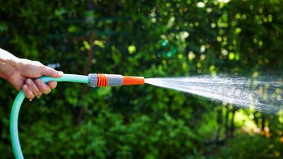 Is it safe to drink from a hose? A doctor warns it could leave you feeling unwell