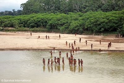 Group says photos of reclusive tribe on Peru beach show logging concessions are 'dangerously close'