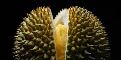 Why the stinky durian really is the ‘king of all fruits’