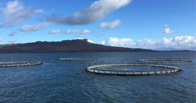 Majority of Scotland’s coastal communities fear decline in health of fisheries