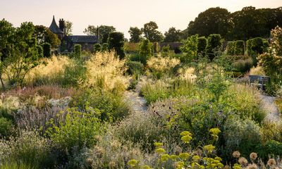 From low-growers to bright fountains, ornamental grasses have your garden covered