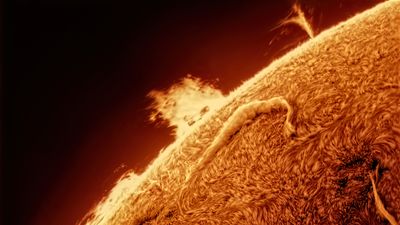 Astrophotographer takes stunning photographs of the sun in incredible detail from his backyard in Arizona