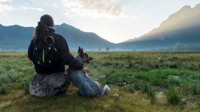 Is your dog overly excitable? Trainer reveals the surprising activity that can help calm them down