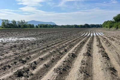 Vermont farmers take stock after losing crops to flooding two years in a row