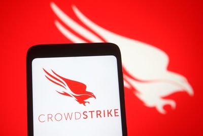 CrowdStrike shares plummet after bug causes worldwide IT outage