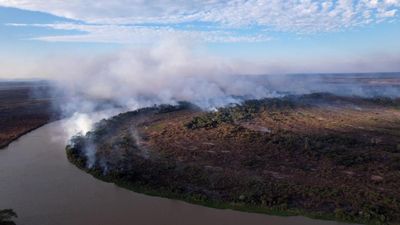 Brazil: The Pantanal, a sanctuary of biodiversity devastated by record fires