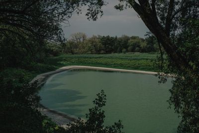 Life returns to Ukrainian reservoir drained by Russian strike on dam