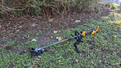 How to maintain a string trimmer: 6 expert-led maintenance tasks