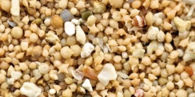 Rare Star-Shaped Sand Found On Japanese Beaches Holds Ancient Secrets