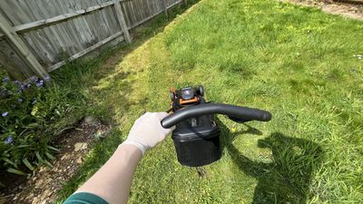 Worx 40V 17in Cordless Lawn Mower review: a large mower for small yards