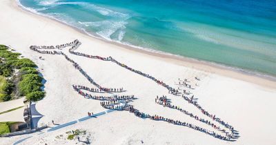 Spout of fun as 'human whale' returns to Fingal Bay