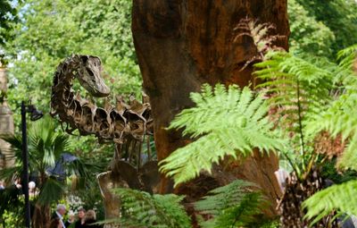 Urban Nature Project at the Natural History Museum review – it’s a wondrous jungle out there