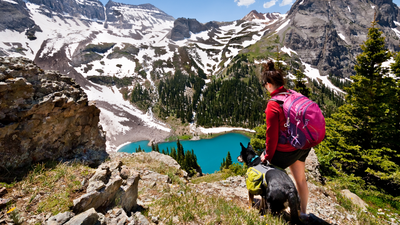 Hiking with a dog: An expert shares her top tips