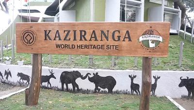 Assam: Floods claim lives of 215 animals including 13 one-horned rhinos at Kaziranga National Park