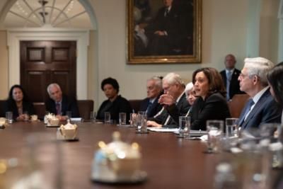 Democratic Delegate Suggests Kamala Harris As Potential Replacement Nominee