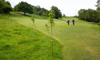 How golf courses preserve vanishing habitats