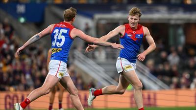 No one would have won us the hitouts: Demons coach