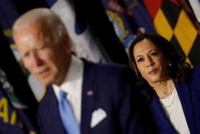 Biden endorses Kamala Harris as US presidential nominee. What happens next?