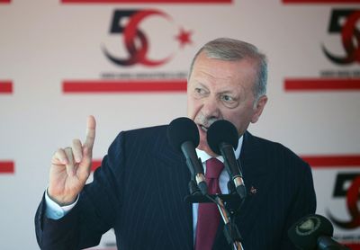 Erdogan says Turkey ready to build Cyprus naval base ‘if necessary’