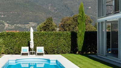 7 Drought-Tolerant Privacy Hedges That Screen Your Yard From Neigbors, And Are Easy to Maintain