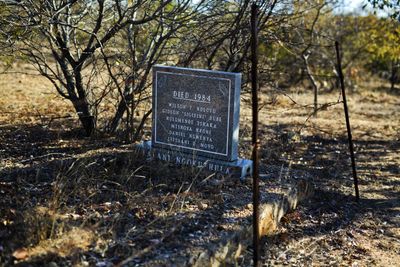 Will survivors of Zimbabwe’s Gukurahundi massacre finally get justice?