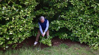 Do I Have To Drop A Ball In A Bush If It's The Nearest Point Of Complete Relief?