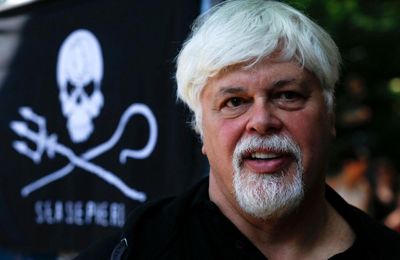 Sea Shepherd founder and anti-whaling activist Paul Watson arrested in Greenland