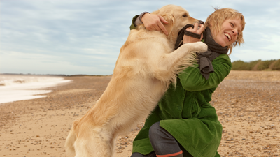 How to stop a dog from jumping up