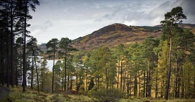 Galloway proposed as new national park for Scotland