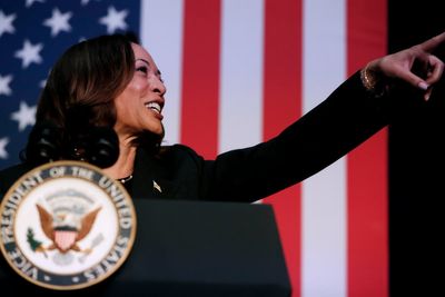 ‘Political suicide’: Will any Democrat dare to challenge Kamala Harris?