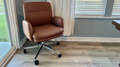 Branch Softside Chair review