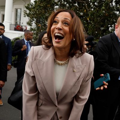 VP Kamala Harris is the frontrunner to replace Biden in the 2024 Presidential Election - here's what we know about her