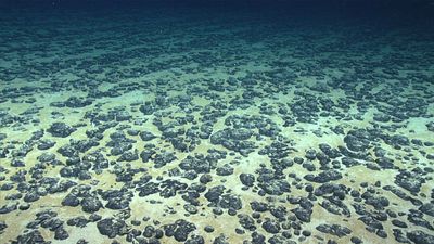 Discovery of 'dark oxygen' from deep-sea metal lumps could trigger rethink of origins of life