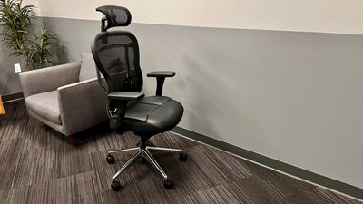 Oak Hollow Aloria ergonomic office chair review