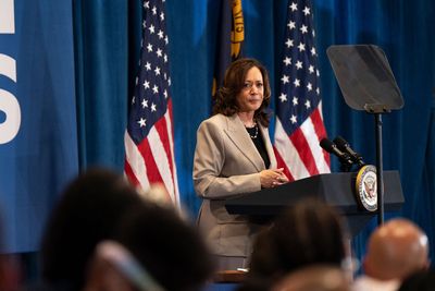 Experts: Anti-Harris suits "will lose"