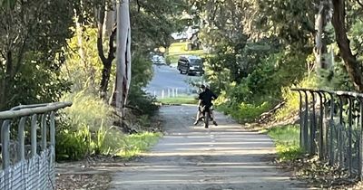 Fernleigh Track attack: woman struck by boys on dirt bike