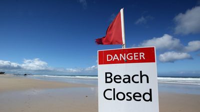 Surfer fights off shark before saved by off-duty cop