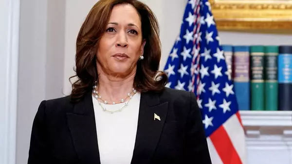 Kamala Harris wins support from enough delegates to be the Democratic nominee