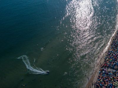 Sharks off coast of Brazil test positive for cocaine