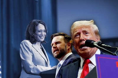 How Harris got into Trump's head