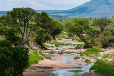 How to plan the perfect holiday around one of the world’s greatest wildlife spectacles