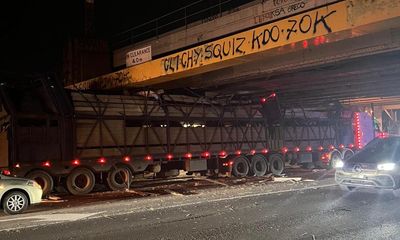 At least 22 cattle dead after truck smashes into Melbourne rail bridge in ‘horrific’ crash